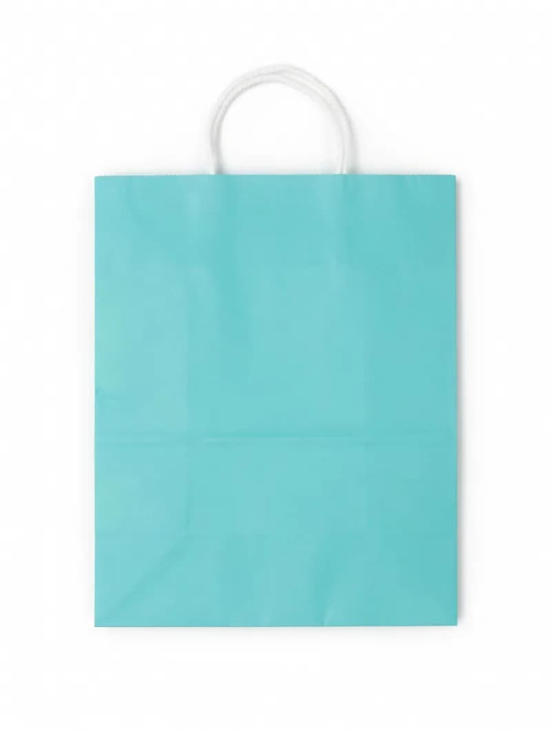 Aqua Blue Paper Shopping Bag with White Twisted Handles – Premium Retail & Gift Bag